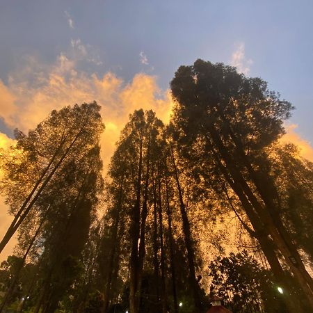 Sibayak Multinational Rest House Berastagi Buitenkant foto